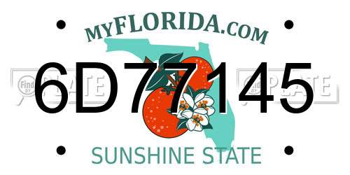 6D77145 Florida License Plate