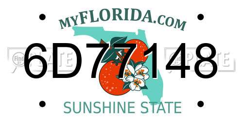 6D77148 Florida License Plate