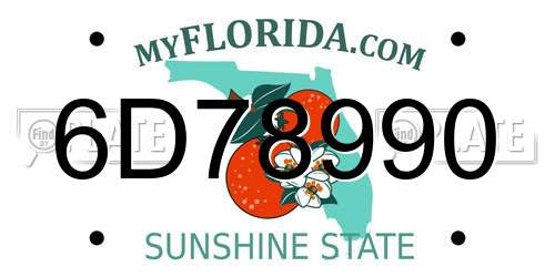 6D78990 Florida License Plate