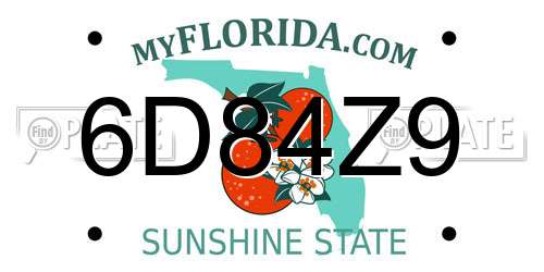 6D84Z9 Florida License Plate