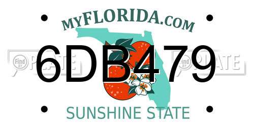 6DB479 Florida License Plate