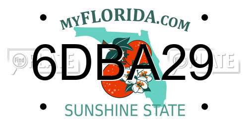 6DBA29 Florida License Plate