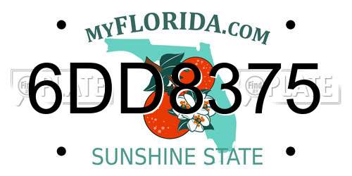 6DD8375 Florida License Plate