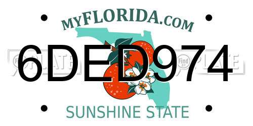 6DED974 Florida License Plate