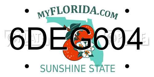 6DEG604 Florida License Plate