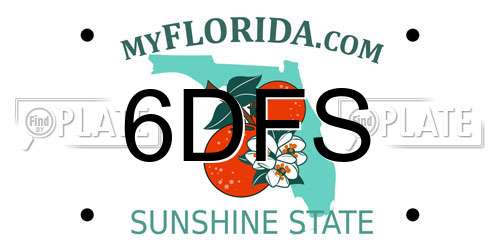 6DFS Florida License Plate