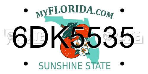 6DK5535 Florida License Plate