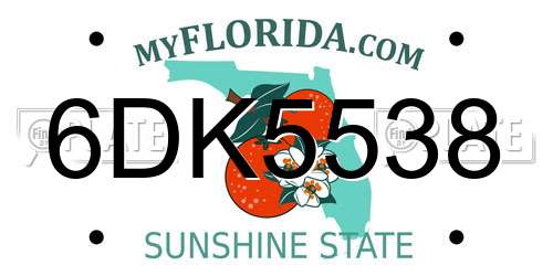 6DK5538 Florida License Plate