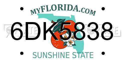 6DK5838 Florida License Plate
