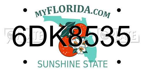 6DK8535 Florida License Plate