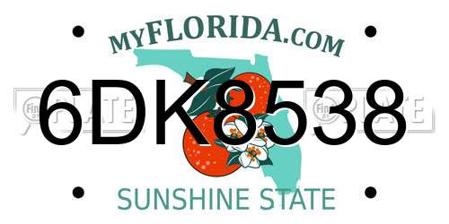 6DK8538 Florida License Plate