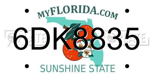 6DK8835 Florida License Plate
