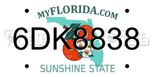 6DK8838 Florida License Plate