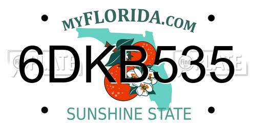 6DKB535 Florida License Plate