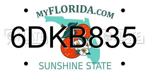6DKB835 Florida License Plate