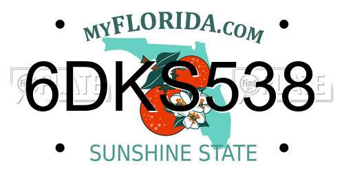 6DKS538 Florida License Plate