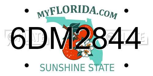 6DM2844 Florida License Plate
