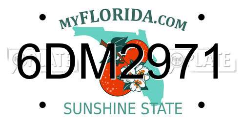 6DM2971 Florida License Plate