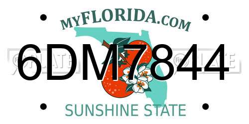 6DM7844 Florida License Plate