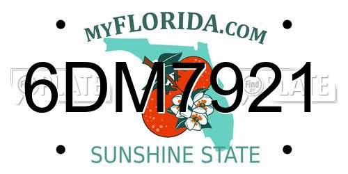 6DM7921 Florida License Plate
