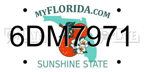 6DM7971 Florida License Plate