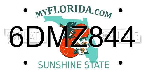 6DMZ844 Florida License Plate