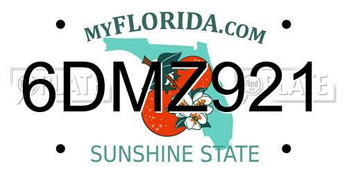 6DMZ921 Florida License Plate