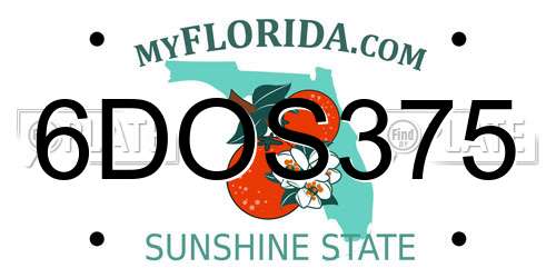 6DOS375 Florida License Plate