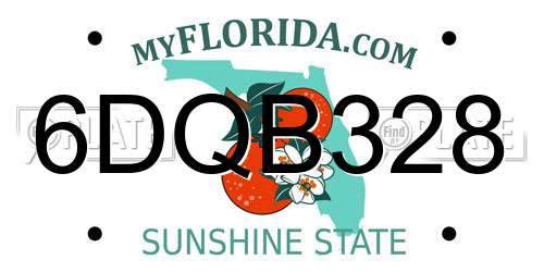 6DQB328 Florida License Plate