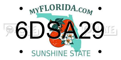 6DSA29 Florida License Plate