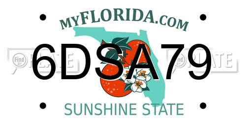 6DSA79 Florida License Plate