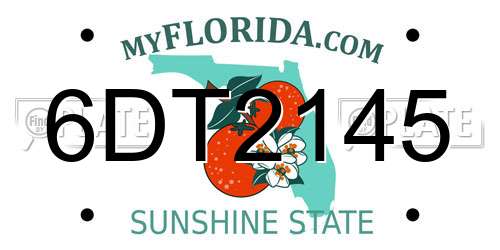 6DT2145 Florida License Plate