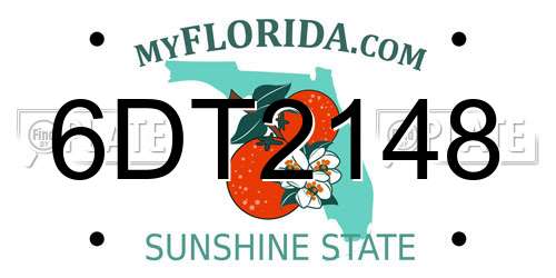 6DT2148 Florida License Plate
