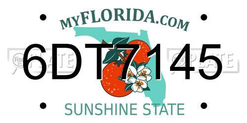 6DT7145 Florida License Plate