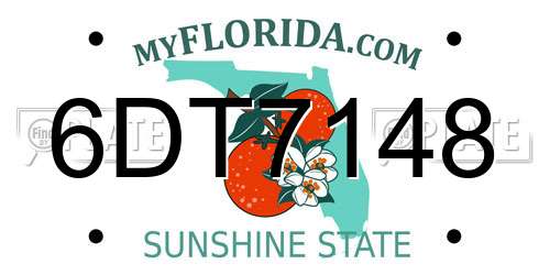6DT7148 Florida License Plate