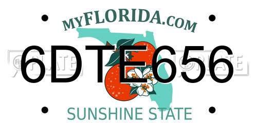 6DTE656 Florida License Plate