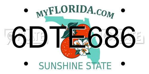 6DTE686 Florida License Plate