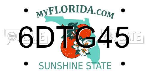 6DTG45 Florida License Plate