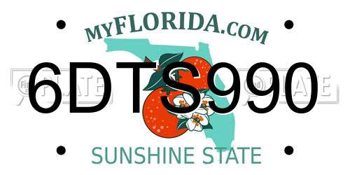 6DTS990 Florida License Plate
