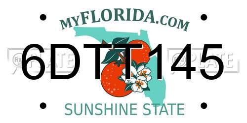 6DTT145 Florida License Plate