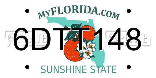 6DTT148 Florida License Plate