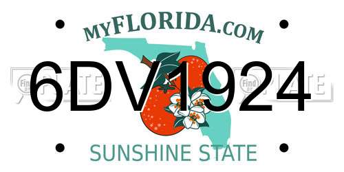 6DV1924 Florida License Plate
