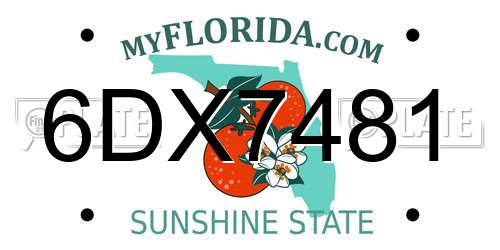 6DX7481 Florida License Plate
