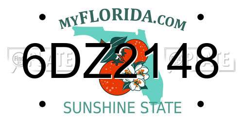 6DZ2148 Florida License Plate