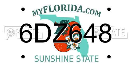 6DZ648 Florida License Plate