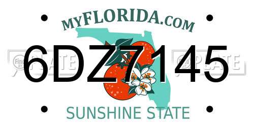 6DZ7145 Florida License Plate