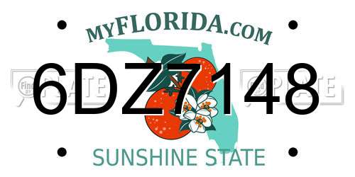 6DZ7148 Florida License Plate