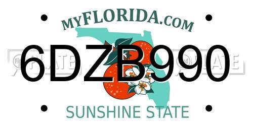 6DZB990 Florida License Plate