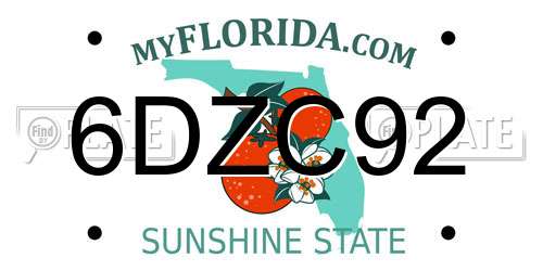 6DZC92 Florida License Plate