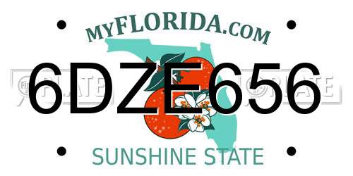 6DZE656 Florida License Plate